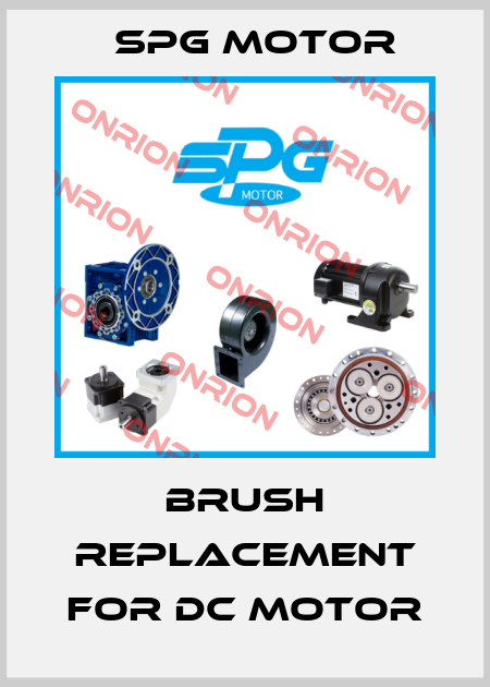 brush replacement for DC motor Spg Motor