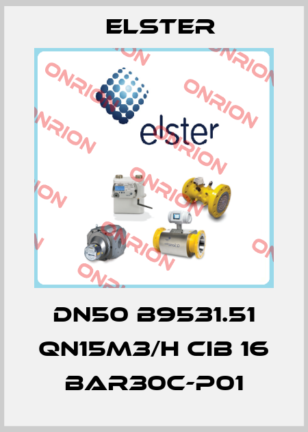 DN50 B9531.51 Qn15m3/h CIB 16 bar30c-P01 Elster