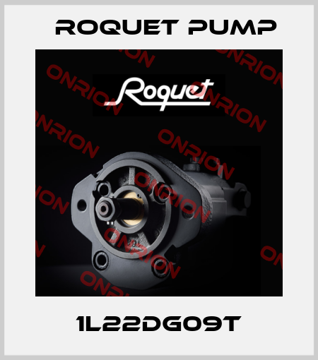 1L22DG09T Roquet pump