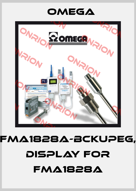 FMA1828A-BCKUPEG, DISPLAY FOR FMA1828A Omega