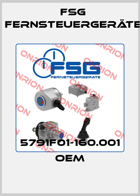 5791F01-160.001 OEM FSG Fernsteuergeräte