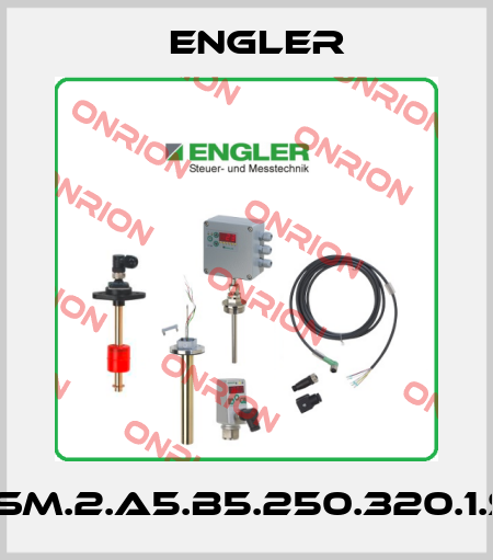 SSM.2.A5.B5.250.320.1.S1 Engler
