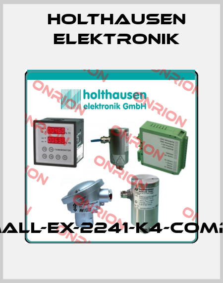 ESW®-small-Ex-2241-K4-Compact-010 HOLTHAUSEN ELEKTRONIK