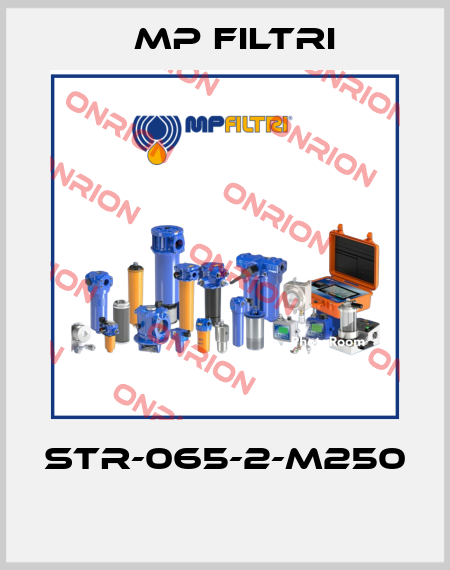 STR-065-2-M250  MP Filtri
