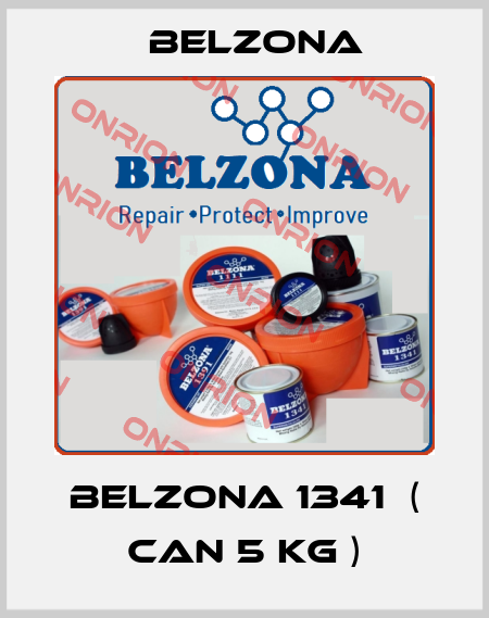Belzona 1341  ( can 5 kg ) Belzona