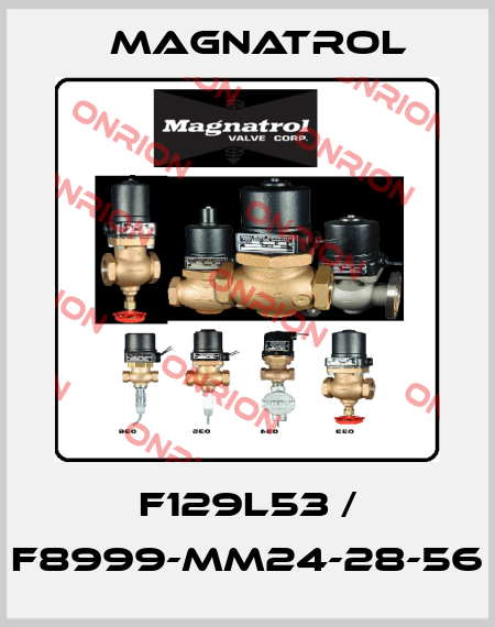 F129L53 / F8999-MM24-28-56 Magnatrol