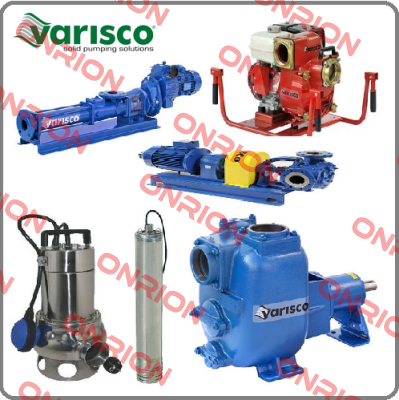 10056373 Varisco pumps