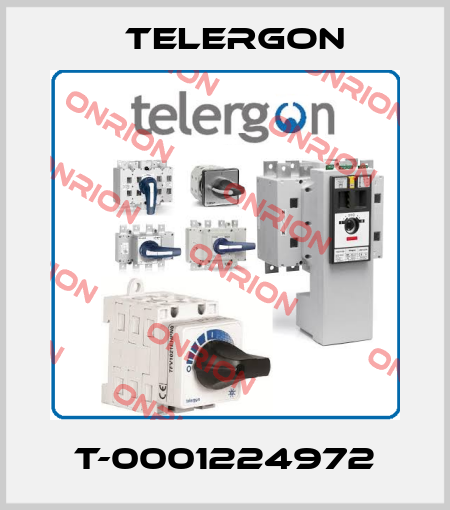 T-0001224972 Telergon
