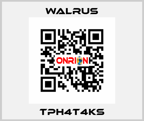 TPH4T4KS Walrus