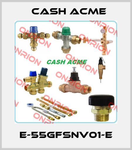 E-55GFSNV01-E Cash Acme