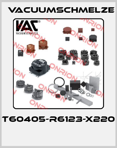 T60405-R6123-X220  Vacuumschmelze