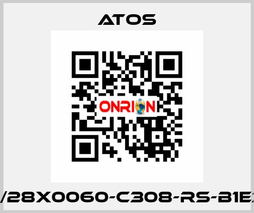 CK-40/28X0060-C308-RS-B1E3X1Z3 Atos