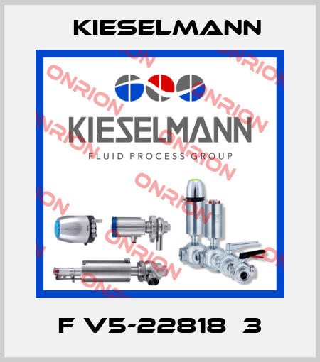 F V5-22818  3 Kieselmann