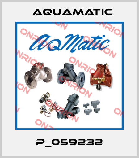 P_059232 AquaMatic