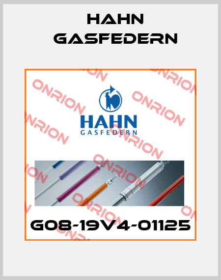 G08-19V4-01125 Hahn Gasfedern