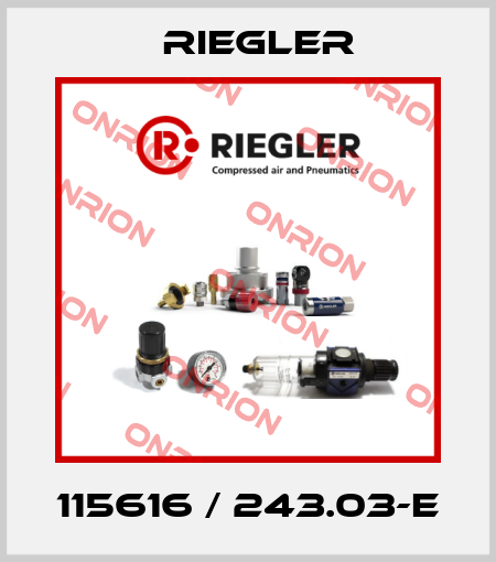 115616 / 243.03-E Riegler
