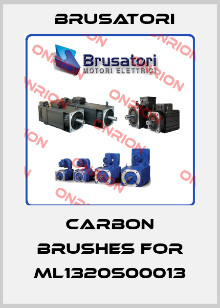 carbon brushes for ML1320S00013 Brusatori