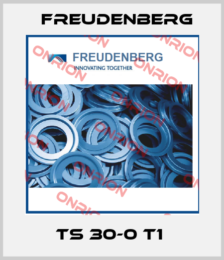 TS 30-0 T1  Freudenberg