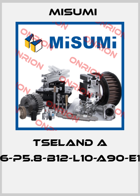TSELAND A 6-P5.8-B12-L10-A90-E1  Misumi