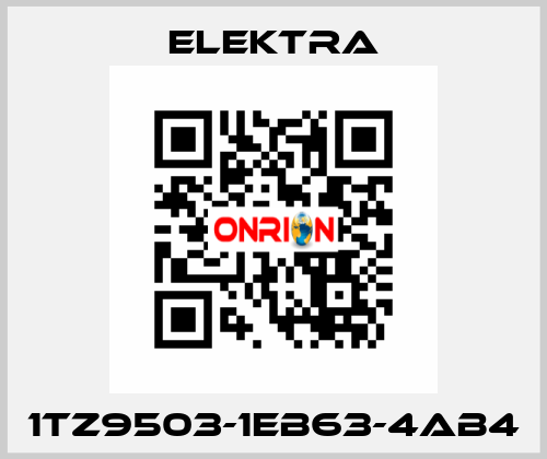 1TZ9503-1EB63-4AB4 ELEKTRA