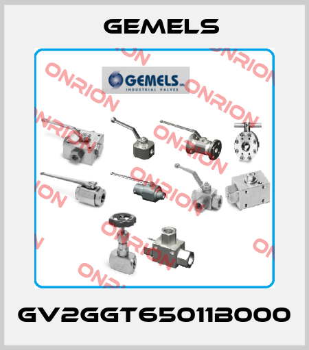 GV2GGT65011B000 Gemels