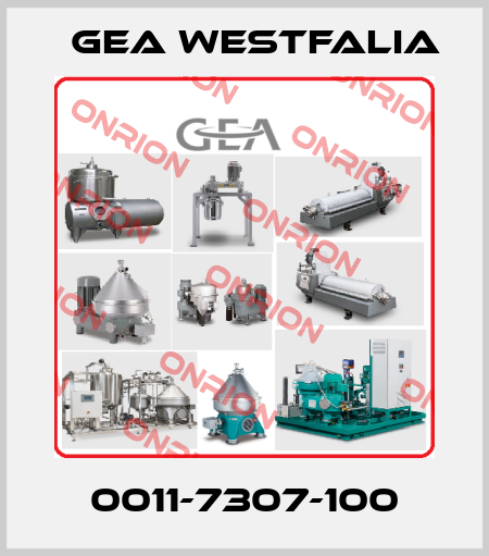 0011-7307-100 Gea Westfalia