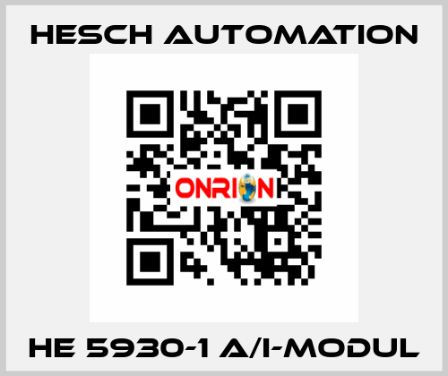 HE 5930-1 A/I-Modul Hesch Automation