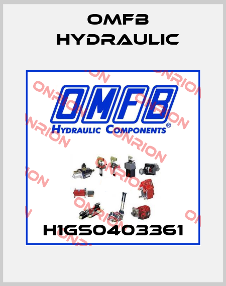 H1GS0403361 OMFB Hydraulic