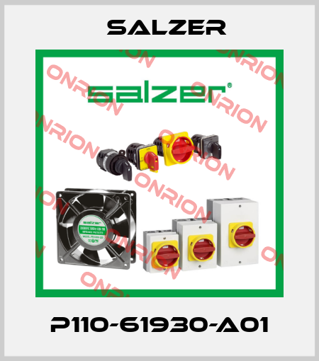 P110-61930-A01 Salzer
