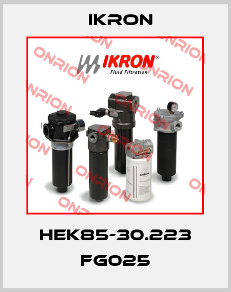 HEK85-30.223 FG025 Ikron