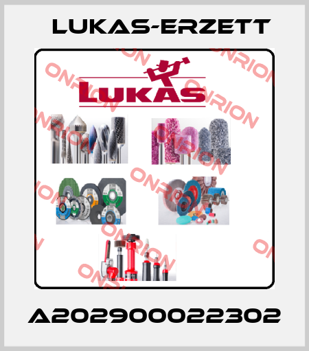 A202900022302 Lukas-Erzett