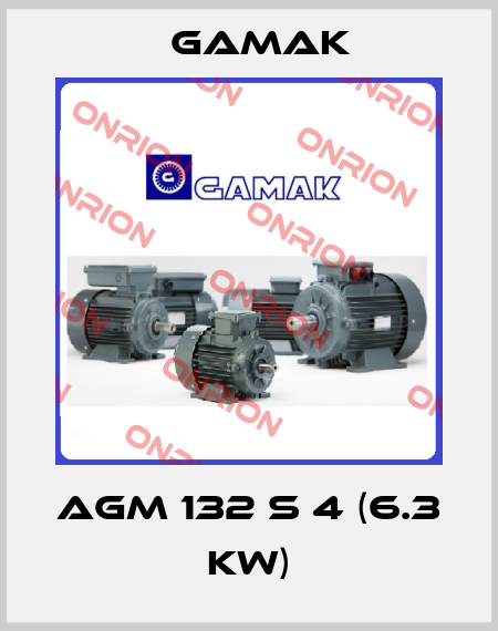 AGM 132 S 4 (6.3 kW) Gamak