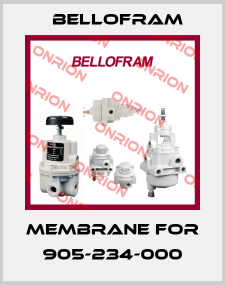 Membrane for 905-234-000 Bellofram