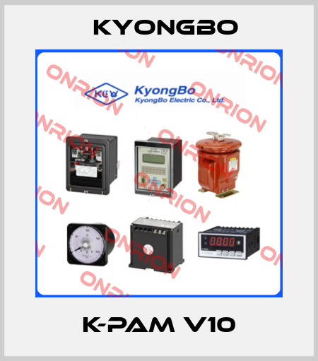 K-PAM V10 Kyongbo