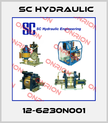 12-6230N001 SC Hydraulic