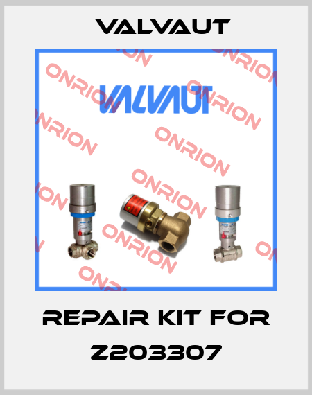 repair kit for Z203307 Valvaut