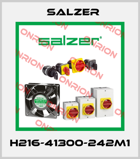 H216-41300-242M1 Salzer