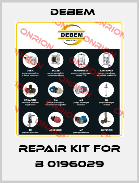 Repair kit for B 0196029 Debem