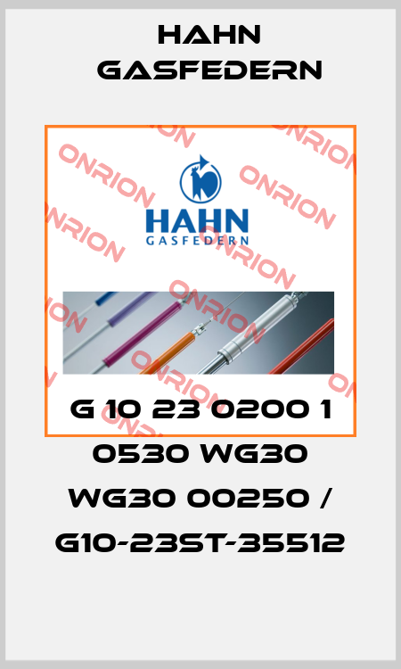 G 10 23 0200 1 0530 wg30 wg30 00250 / G10-23ST-35512 Hahn Gasfedern