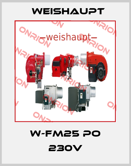W-FM25 PO 230V Weishaupt