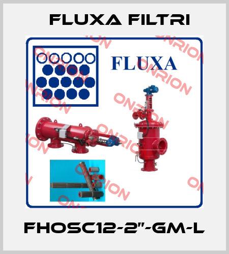 FHOSC12-2”-GM-L Fluxa Filtri