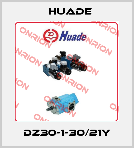DZ30-1-30/21Y Huade