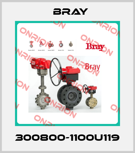 300800-1100U119 Bray