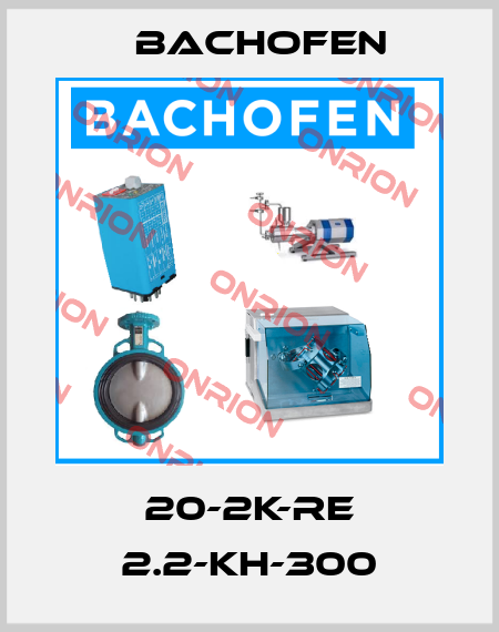 20-2K-RE 2.2-KH-300 Bachofen