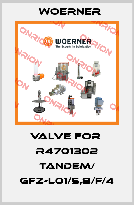 valve for  R4701302 Tandem/ GFZ-L01/5,8/F/4 Woerner