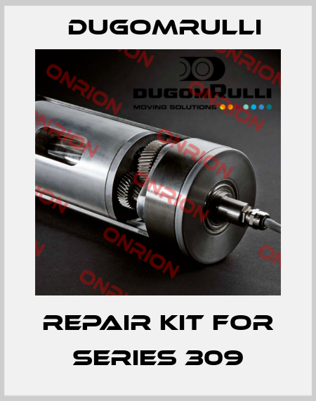 repair kit for Series 309 Dugomrulli
