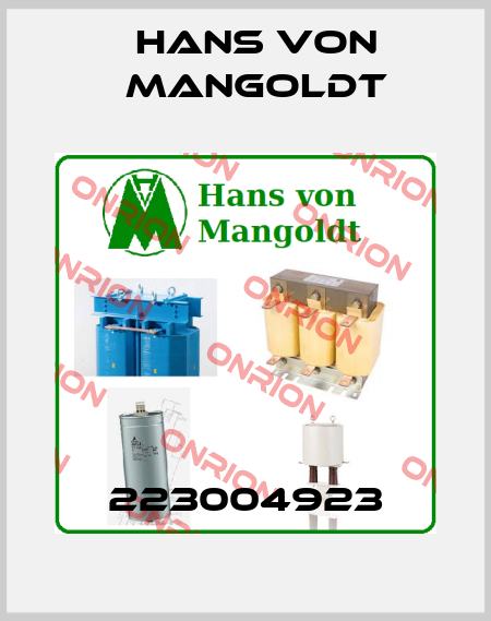 223004923 Hans von Mangoldt