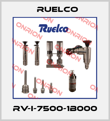 RV-I-7500-1B000 Ruelco