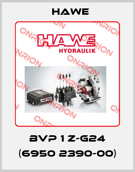 BVP 1 Z-G24 (6950 2390-00) Hawe