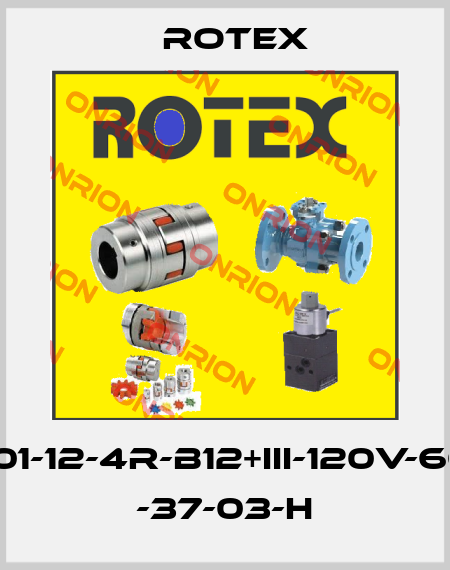 24101-12-4R-B12+III-120V-60HZ -37-03-H Rotex